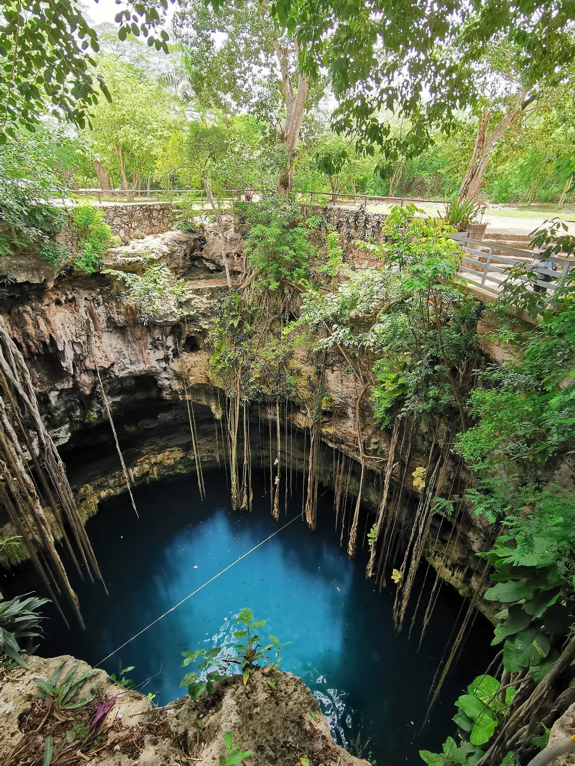 Cenote Mexico